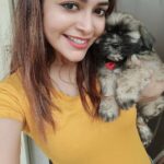 Dharsha Gupta Instagram - 💛💙Our new family member 'Lucky'💙💛 #shihtzu #puppy