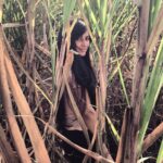 Disha Pandey Instagram - 🌾🌾🌾