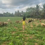 Disha Pandey Instagram - 🐑🐏