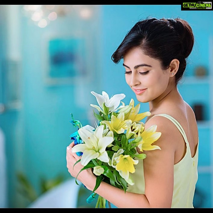 Disha Pandey Instagram - The lilies say: Behold how we Preach without words of purity. . . . . . . . . . . . . . #artistsoninstagram #blooming #bouquet #decoration #digitalartist #digitaldrawing #digitalillustration #draw #floral #florist #flowerarrangement #flowerphotography #flowershop #flowerslovers #flowersofinstagram #flowerstagram #france #garden #gardening #graffiti #instaart #lillies #lilliesinbloom #lily #macro #macrophotography #plants #rose #roses #streetart Mumbai, Maharashtra