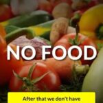 Evelyn Sharma Instagram - You may think there’s nothing you can do to safe the earth… 😕 Here’s the #goodnews ‼️ if everyone were to do as little as compost their kitchen scraps it would already make a huge difference! 🌱Let’s do our bit to replenish the soil we have taken. 💯 #savesoil #topsoil #composting #growyourownfood #conciousconsumer
