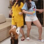 Gajala Instagram – The highlight of this reel is BUCKET @bucket_thebeagle #happydog #ourbaby 
.
.
.
.
.
.
.
.
#djaashikaa #aashikaa #gazala #gajala #bucketthebeagle #reelkarofeelkaro #reelitfeelit #reelsinstagram #reelsviral #reelsvideo #cutedog #actress #djslife #dj #djreels #happyface #instagramdaily #instagramreels #instagram #trending Lokhandwala Complex