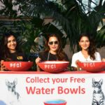 Iswarya Menon Instagram - Oh water ! Holy water . we all know water is the driving force of all nature, of all things living & moving . The summer is unbearable for all of us, those poor voiceless strays have no access to clean drinking water . They usually drink water from the gutter which often gives them all sorts of diseases & they pass away soon . . This initiative #waterbowlchallenge2022 is all about just keeping a bowl of fresh clean water infront of our houses . How simple is that ? . Can we all start doing that from today? Let us be the change, let us start with us ♥️ . @pfciindia