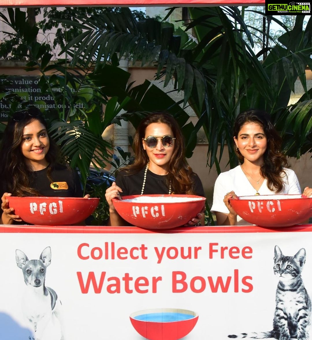 Iswarya Menon Instagram - Oh water ! Holy water . we all know water is the driving force of all nature, of all things living & moving . The summer is unbearable for all of us, those poor voiceless strays have no access to clean drinking water . They usually drink water from the gutter which often gives them all sorts of diseases & they pass away soon . . This initiative #waterbowlchallenge2022 is all about just keeping a bowl of fresh clean water infront of our houses . How simple is that ? . Can we all start doing that from today? Let us be the change, let us start with us ♥️ . @pfciindia