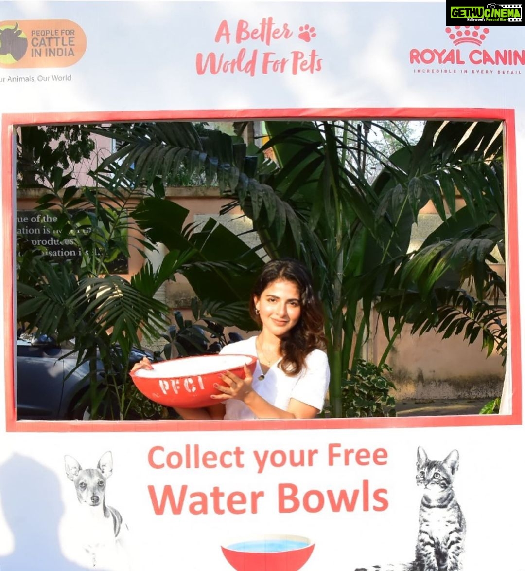 Iswarya Menon Instagram - Oh water ! Holy water . we all know water is the driving force of all nature, of all things living & moving . The summer is unbearable for all of us, those poor voiceless strays have no access to clean drinking water . They usually drink water from the gutter which often gives them all sorts of diseases & they pass away soon . . This initiative #waterbowlchallenge2022 is all about just keeping a bowl of fresh clean water infront of our houses . How simple is that ? . Can we all start doing that from today? Let us be the change, let us start with us ♥️ . @pfciindia