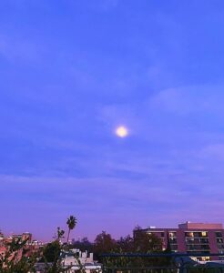 Janhvi Kapoor Instagram - honey, I’m home 💜 #LA for less than a minute 🥺