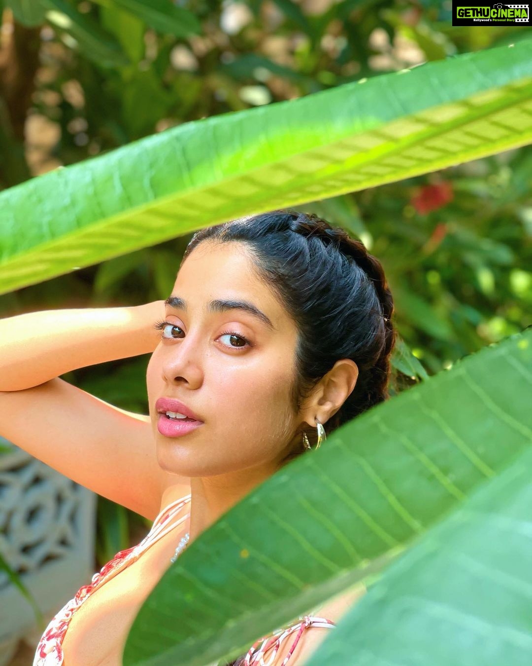 Janhvi Kapoor Instagram - kisses from the sun 🌞💕