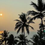 Janhvi Kapoor Instagram – Tall palm trees and kaleidoscope dreams 🎶 🌴 🌈 💭