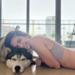 Kriti Kharbanda Instagram - If, He’s just not that into you, was a picture 😂😂😂 . . . @drogohusky 😘 #puppylove #mydoggobestest #cannotgetenough #petsofinstagram #petparent