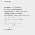 Lisa Ray Instagram – #REPOST @wendellquotes with @get__repost__app “The Peace of Wild Things” by Wendell Berry #wendellberry