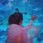 Lisa Ray Instagram - Aquarium season in Dubai