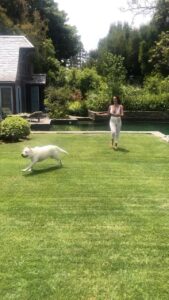 Mallika Sherawat Instagram - Love playing with Lily 🐶🐶 . . . . . . #reelitfeelit #reelkarofeelkaro #indianreels #dogreels Los Angeles, California