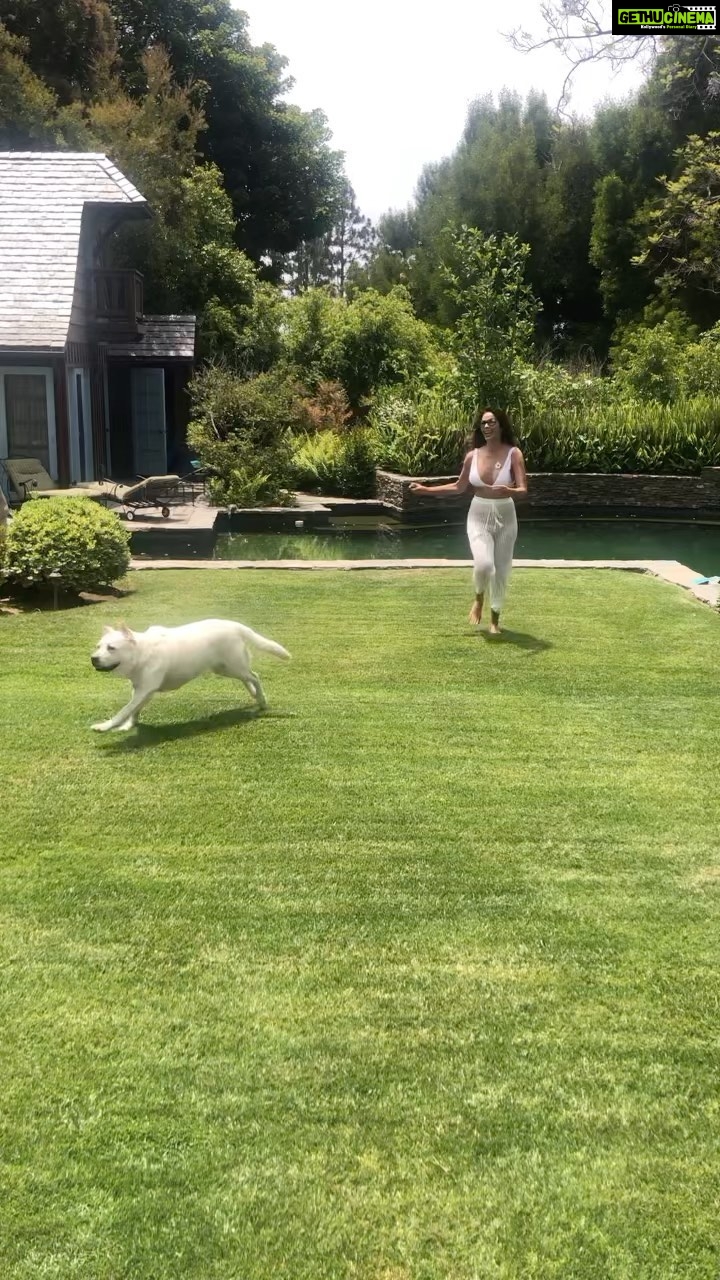 Mallika Sherawat Instagram - Love playing with Lily 🐶🐶 . . . . . . #reelitfeelit #reelkarofeelkaro #indianreels #dogreels Los Angeles, California