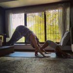Neha Dhupia Instagram - My Monday motivation 😍♥️🧿 … picture 4 👉 is the ultimate yoga truth !!!!! 😂😂😂 @mehrdhupiabedi 📸 @rohitflowyoga