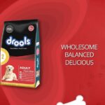 Neha Sharma Instagram - Do you know what goes into your pets food? With @Droolsindia you can be sure that your beloved pooch is receiving the right nutrition with wholesome clean ingredients! With good food and happy pets, everyones happy! Feed Real, Feed Clean. Feed Drools ❤️🐾