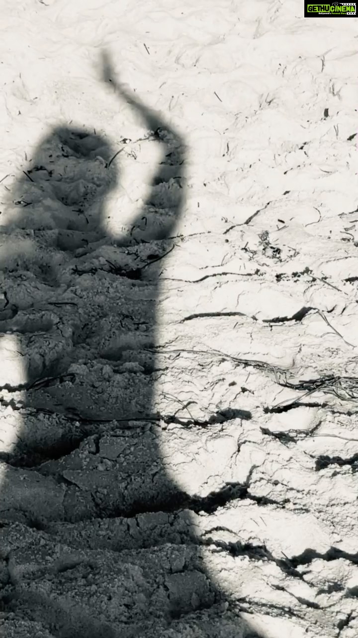 Pallavi Sharda Instagram - Bit of mudra meditation to stretch out the hands and wrists which we unnaturally curl all day as we clutch our devices. So grateful for the gift of dance which provides me with a home wherever I land ππ§π½ββοΈ