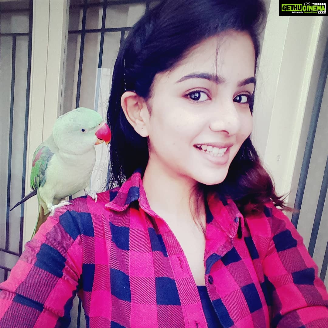 Pavithra Lakshmi Instagram - Lub you😍😘 #minemine #we #lovehim #troy #pavithra #pavithralakshmi #popzy