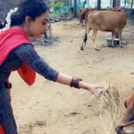Pearle Maaney Instagram - pashuvinu pullu kodukkunna Le Njan 😎 athu video eduthathu Le @rachel_maaney. 😋 Kumbakonam