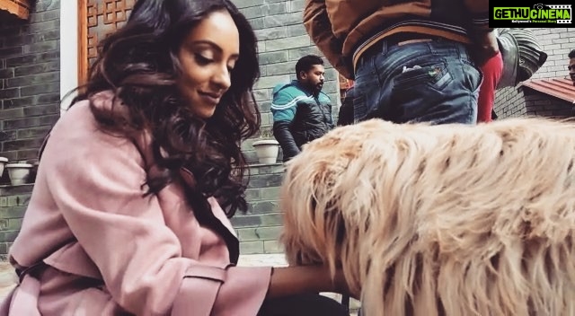 Pearle Maaney Instagram - Look who came to visit us during the shoot of “Who Are You” song... In Manali. 😋 @whomovie #behindthescenes Song Link in Bio