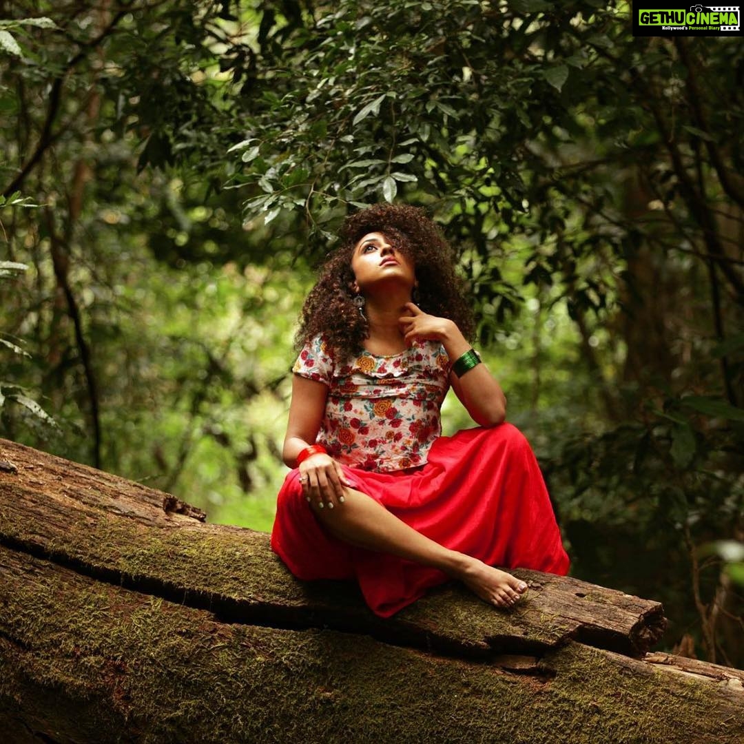 Pearle Maaney Instagram - I’m the Happiest when I’m here... It turns me into an explorer... Makes me feel one with it... @sanu_mohammed Photography #naturelover #greenworld Peace Love and Music to All❤️ Nelliyampathy Hill Station