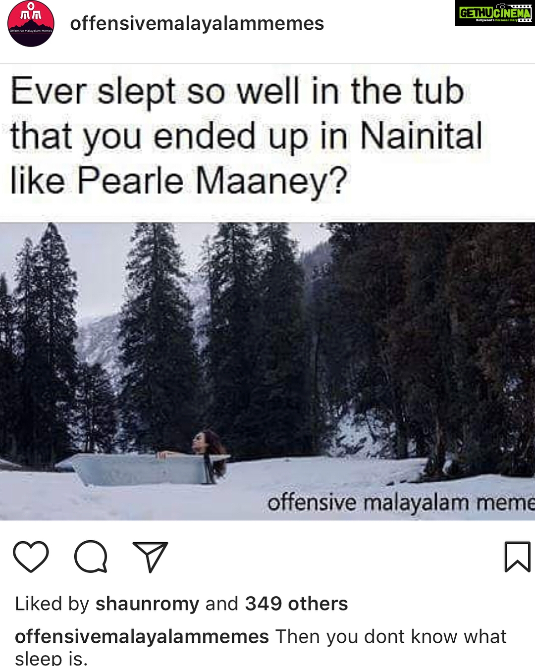 Pearle Maaney Instagram - It was actually a “Happy Troll Day” for me 😂😂😂 Thank you @trollgarageofficial @trollmachans @offensivemalayalammemes @trollgarageofficial APInternational and everyone for making these funny memes 😋😋❤️