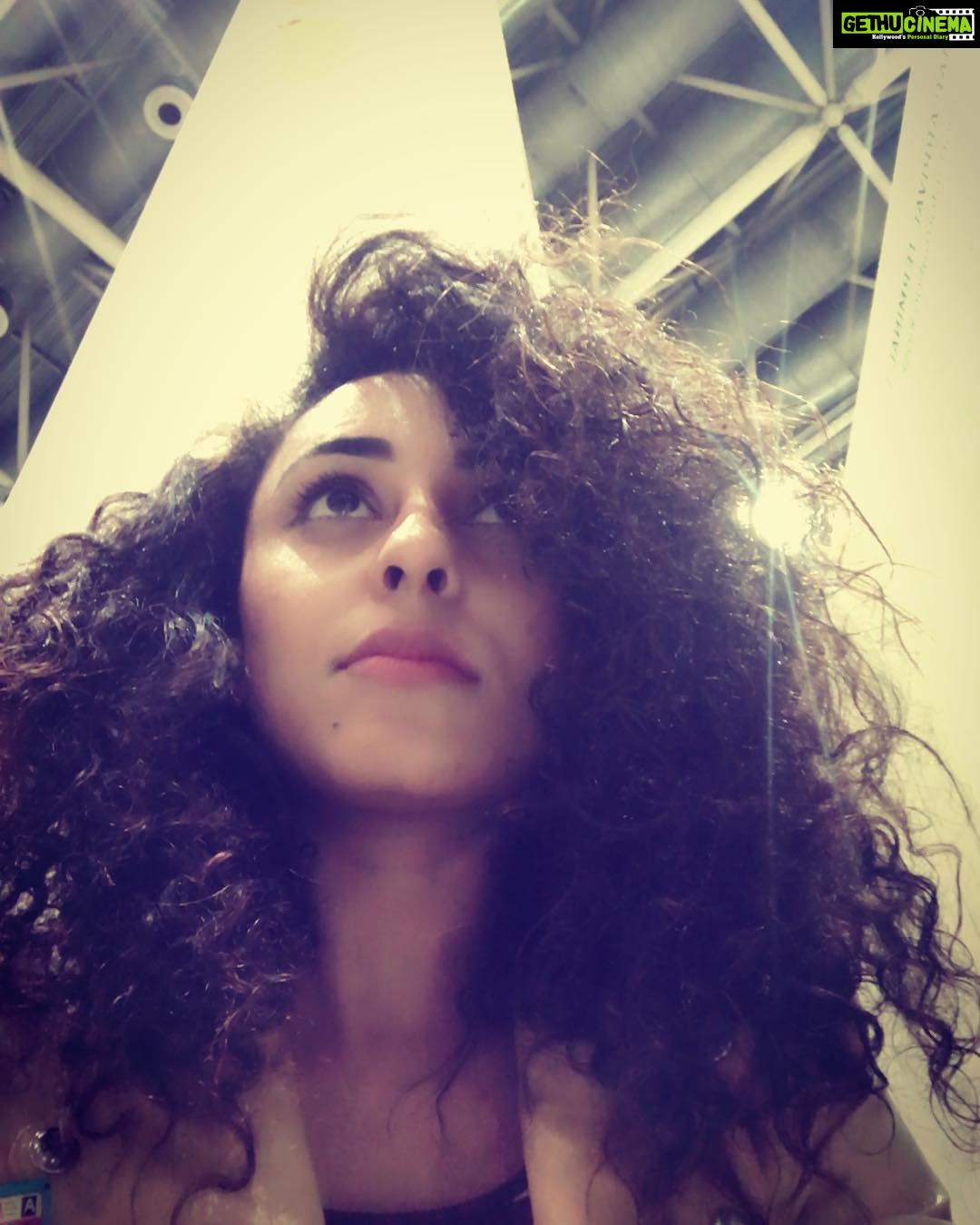Pearle Maaney Instagram - When you are expecting your hair follicles to lead & guide you in life only to find out that they have split ends pointing towards all possible directions... which end up making you even more confused. #timeforahaircut #needsomeclarity Buhahahaha🙄 laughing at myself