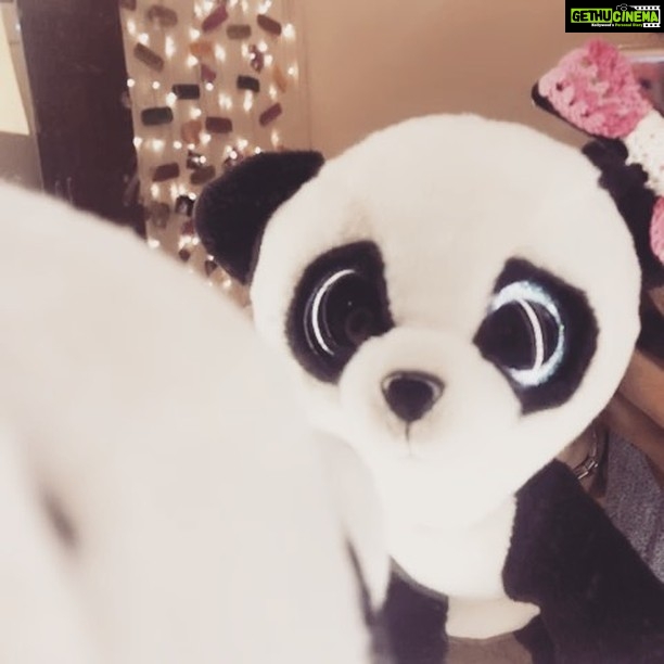 Pearle Maaney Instagram - Say Hello to Introspecting Panda 🐼