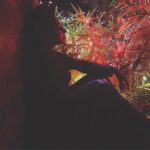 Pearle Maaney Instagram - A Little bit of light is all you need to feel alive ...