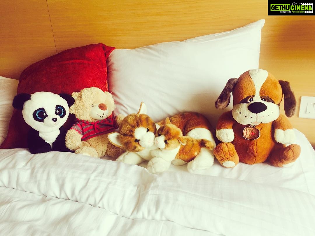 Pearle Maaney Instagram - My Roomies 😋❤️ they travel with me all the time