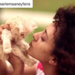 Pearle Maaney Instagram - Little "Biscuit" 🐱 kitten and me😋 Thank u @pearlemaaney_fc @pearlemaaneyfans @d3_pearle_and_adil_fanpage for the love n support ❤️