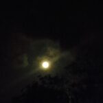 Pearle Maaney Instagram - EARTH DAY... And Our Chief Guest was The Full Moon... 😍 Today the consciousness of the collective on this planet is more attuned to the Earth than usual, although in fact every day is Earth day, and Earth needs our attention every single day of the year. It's not only the outer action that is needed, though tremendously important. The earth can only heal if we bring again the worlds together. We need to raise awareness for the inner as well as the outer, our daily habits concerning the relationship with the earth as well as our inner attitude, our prayers, from our hearts which are capable to embrace the whole earth and wrap it with love. And we should not forget that the FEMININE has a deep connection, a deep bond and mutual relationship with the earth. The feminine in all of us, in women and men, is prepared to feel and to relate to the earth, from soul to soul, as we are parts of the one soul. And WOMEN in particular, who embody the divine femine in human form, are gifted with the potential to care for the Earth as a living spiritual being.And more so, women can serve to bring the sacredness back to the Earth.❤️ A woman who has awakened her innate motherhood brings heaven to earth wherever she is. Only women can create a peaceful, happy world. And so it is that the one who rocks the cradle of the baby, who holds up the lamp, shedding light on the world. Knowledge can be taught... But wisdom can only be learned through observing oneself... The greatest teacher is within each one of us.. When we take a break from the chattering mind the door to wisdom starts opening. Stop thinking and start listening to an unheard vibration that is tough to understand since its totally alien... We need to be patient and then acquire it.. Just like how a baby learns its mother tongue eagerly with the thirst to understand what the mother is saying... The thirst to understand the outer world. Now its time to connect to the inner... Learn ur inner language by listening to it carefully. Lucky are the ones who master the inner language for they hold the Key to "Universal Consciousness". This is a real responsibility.