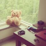 Pearle Maaney Instagram – Guess who is chilling near the window! Meet my lover… Mr.Teddy! 😘😘😘
My only companion here in Hyderabad…donno what I wud hav done without him. 😆 Prashasan Nagar, Jubilee Hills
