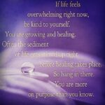Pearle Maaney Instagram – To be calm… is to be healed…