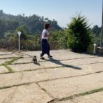 Pearle Maaney Instagram - 🐶 🎥 @srinish_aravind