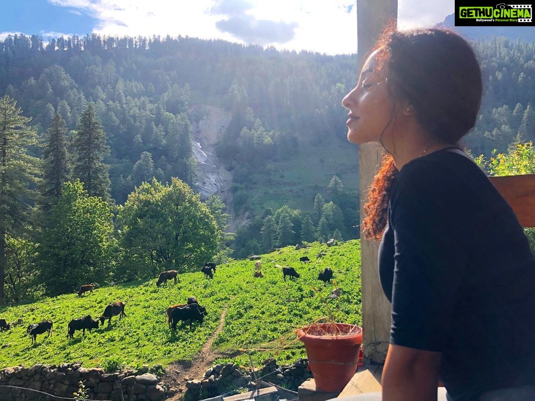 Pearle Maaney Instagram - All Is Well... All Is Well.... All is Well... All is Well.... All is Well... All is Well... All is Well... All is Well.. *hugs to u* ❤️ Close your eyes and visualise the best things in life. Close your eyes and imagine the best around you. Put yourself in your most favourite place... travel in your mind. Take a deep breath. Understand that You are Blessed. You are Protected. You are in divine care. If God knew how to create you.. he also knew why he made you. You have a beautiful divine purpose. Believe and Love Yourself.. the way you are ❤️