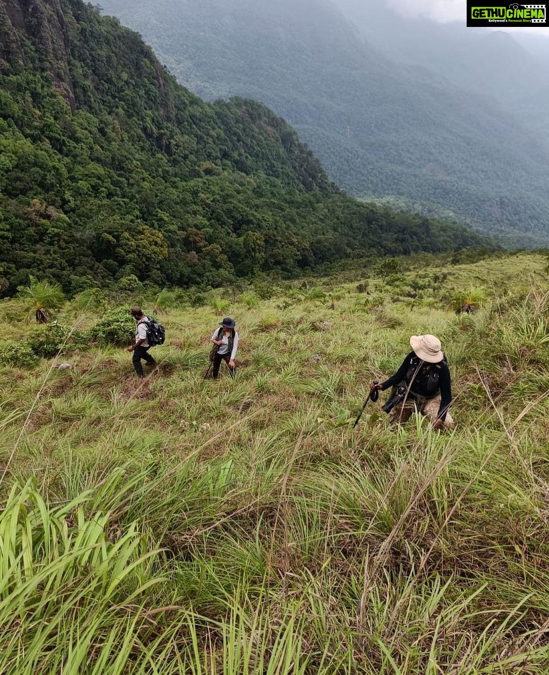 Priyanka Nair Instagram - Varayadumotta Trek - 12 hours of climbing up and down in mist and rain, though the weather wasn't kind enough with camera we managed to click this much. @dhanyasanalk @invicto_dios #trekking#varayadumotta#trivandum#ponmudi#ponmudihills#travelphotography#priyankanair