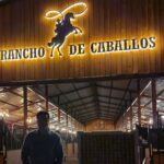 R. Sarathkumar Instagram – It sure was an interesting visit to Ranch Cho de caballo near  Hyderabad airport, more than 30 thoroughbreds and warm bloods to train for the equestrian enthusiasts and riding club of excellence for young riders to excel in this sport @rancho.de.caballos @rajsivaraju