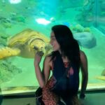 Ramya Subramanian Instagram – 🐢 😨