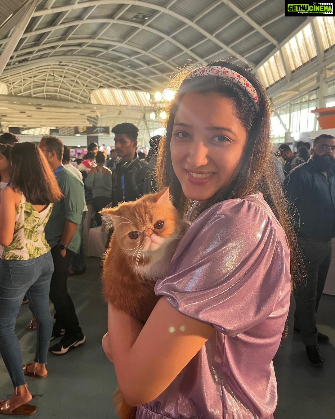 Richa Panai Instagram - Love of life!🐈💫 #catshowmumbai Mumbai, Maharashtra