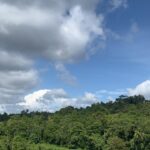 Riythvika Instagram - #naturelove #gogreen💚 Kandy,Sri Lanka ''දළදා මාලිගාවේ සිට''
