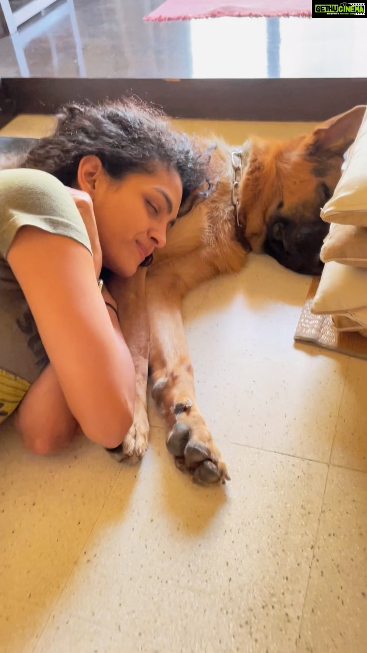 Rukmini Vijayakumar Instagram - Day 32: #100daysofinnergrowth What I’ve been trying to say to myself in recent days is “slow down” ! I’m really trying to take time to do the things that I would have previously not given enough time. Things like - reading a story book - napping with my dog - sitting quietly - watching tv with my mom - getting a pedicure - calling friends and speaking on the phone I’m so used to working all the time that my mind usually doesn’t switch off…. So I find that I have to remind myself to do some of these things… and that it’s ok if I didn’t necessarily hit all my targets for the day. 😊 I have no idea when the 100 days will get done. But slow and steady…. I’ll get there …. #innergrowth #self #innerself #time #quiet #contemplation