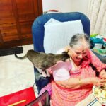 Sachin Tendulkar Instagram - We may have a thousand worries in the world, but our mother’s main worry will still remain whether we’ve had food on time. Such is a mother’s love! Here’s my Aai with our adopted cat. They share a special bond - he has his meals only when Aai is having hers.☺️ #MothersDay #mother #motherlove