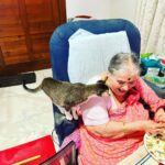 Sachin Tendulkar Instagram – We may have a thousand worries in the world, but our mother’s main worry will still remain whether we’ve had food on time. Such is a mother’s love! 

Here’s my Aai with our adopted cat. They share a special bond – he has his meals only when Aai is having hers.☺️ 

#MothersDay #mother  #motherlove