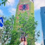 Sameksha Instagram - We are always amazed by the beauty of nature, but this man made beauty always amazes me…. The vertical gardens in Singapore. It has broken all the world records and aims to be the world’s greenest city #verticalgarden #singaporeverticalfarm Hotel Oasis