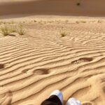 Samyuktha Hegde Instagram - Wanderlust and desert dust 🤍 My first time at a desert, it was such a surreal experience. The dune bashing was super scary for me I’ve never been that scared about anything in my life, THE CAR FEELS LIKE ITS ABOUT TO FLIPPPP!!! But post that traumatic journey in the car (won’t lie it was a lotttt of fun though it was really scary) we reached a desert camp where we ate and saw some very pretty performances ❤️ It was a day well spent! #outinthedesert #wanderlustandsandust #travel Abu Dhabi, United Arab Emirates