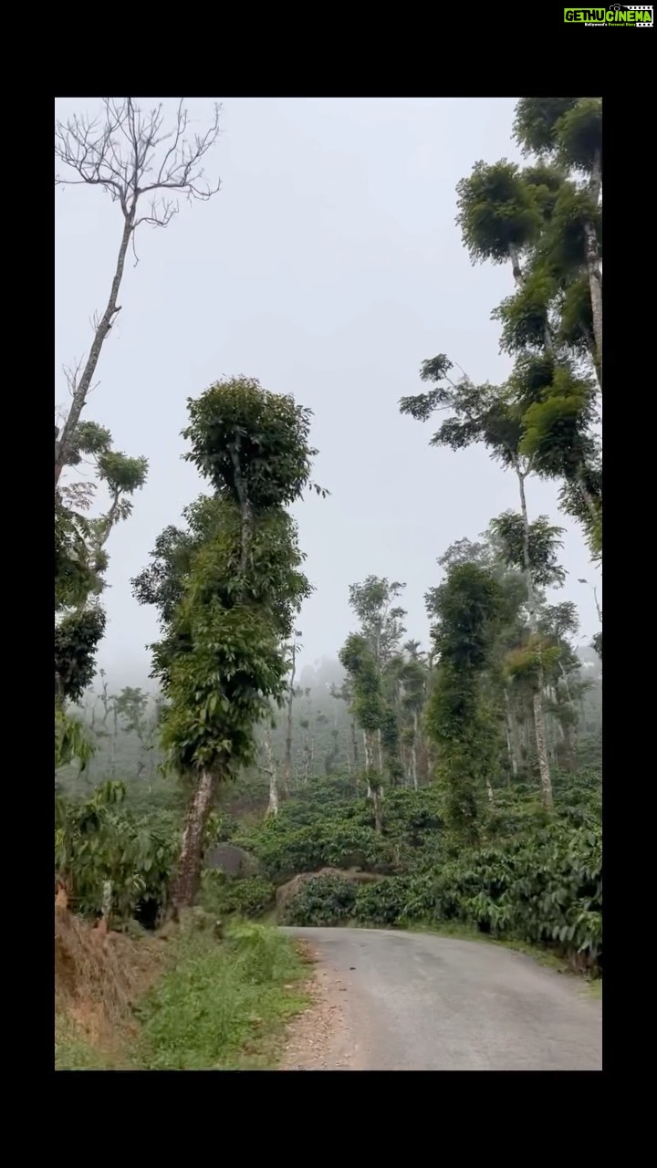 Sangeetha Bhat Instagram - 🥰🥰🥰🥰 #sangeethabhat #sangeethabhatsudarshan #sangeethabhatreels #actress #actresstheunknown #naturelover #mudigere #devaramanehills Devaramane