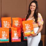 Shanvi Srivastava Instagram - On our journey to build up the catto community, @iams_india had a successful launch event in Bangalore. At IAMS we are driven by a passion for cats and dogs. This launch event focused on sharing the science, research and education that go behind our products and services with pet parents, sales team, Veterinarians etc. We were also keen to educate them on what is good for their pets. STYLED BY -@smitha_prakash19 Hmu - @poojasethiya_mua @knotsbysanjana #NewLaunch #IAMs #IAMsWhoIam #UniqueBest #SeeTheWow #shanvisrivastava