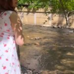 Sherin Instagram – This place is so beautiful with its crystal clear streams and colourful flowers. 😍😍
#sherin #travel #water #stream #america #northcarolina Cherokee, North Carolina