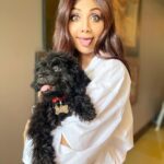 Shilpa Shetty Instagram - No matter what kind of a day I’ve had, coming back home and meeting my fur babies gives me all the pawsitivity I need 😍🐶🐱♥️ Too much gratitude for this unconditional love!✨ . . . . . #Gratitude52 #Week18 #FurBabies #fourleggedfriends #fourleggedbabies #love #grateful #blessed #pawsitive #purrfect #cats #dogs
