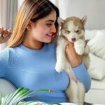 Shivani Narayanan Instagram - New Addition to the fam . Welcome Home #MissVodka 💙 #husky #shitzu’s